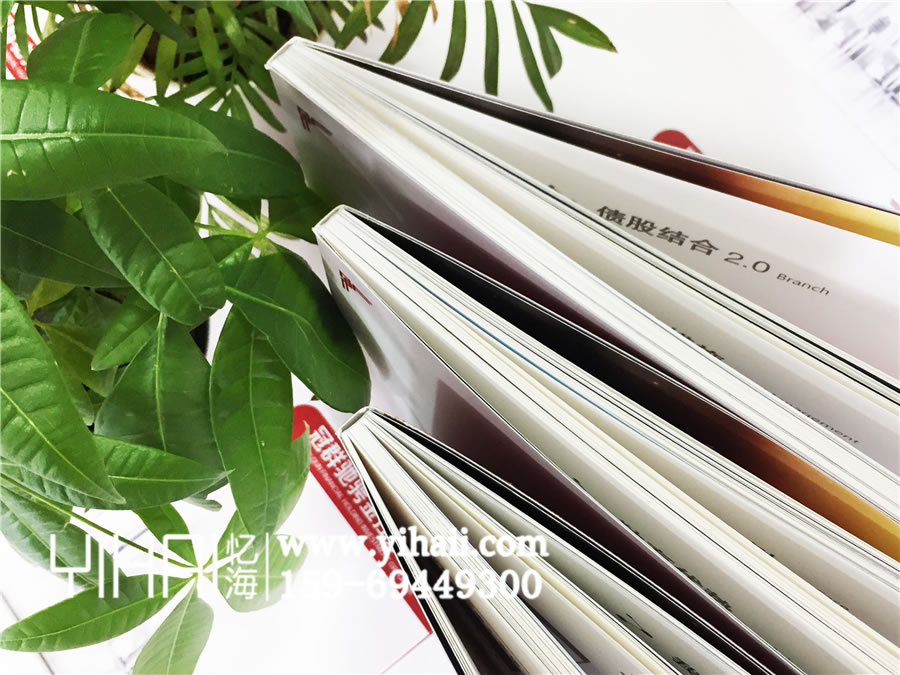 冠群馳騁金控集團(tuán)_企業(yè)宣傳畫冊(cè)_公司畫冊(cè)制作